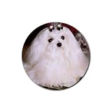 Maltese Rubber Round Coaster (4 pack)
