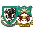 Wrexham Pin Badge by Wales F.A.