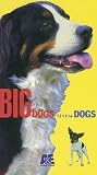 Big Dogs Little Dogs [VHS]