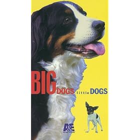 Big Dogs Little Dogs [VHS]