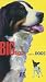 Big Dogs Little Dogs [VHS] [Import]