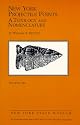 New York Projectile Points: A Typology and Nomenclature