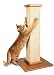 Pet Supplies : Smart Cat Ultimate Scratching Post