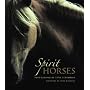 Spirit Horses