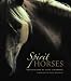 Spirit Horses