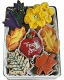 Beautiful Cookies Organic Autumn Thank You Organic Cookies Cookies, 24 Cookies