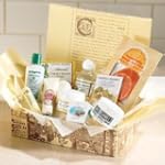 Womens Sampler