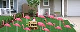 Flamingo Flocking - Pink Flamingo You've Been Flocked Set. 4mm Corrugated Plastic-stores and totes flat, easy to use!