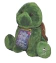 Shining Stars Turtle