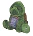 Shining Stars Turtle