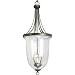 Progress Lighting P3754-77 6-Light Foyer Pendant, Forged Bronze