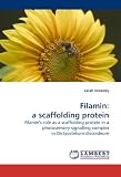 Filamin: a scaffolding protein: Filamin's role as a scaffolding protein in a photosensory signalling complex in Dictyostelium discoideum