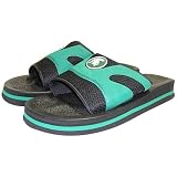 My Team Michigan St. Spartans Slides
