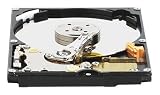 41D52tAkaOL. SL160  Western Digital Scorpio Blue 80 GB Bulk/OEM Hard Drive 2.5 Inch, 8 MB Cache, 5400 RPM EIDE WD800BEVE