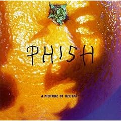 A Picture of Nectar by Phish
