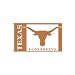 Texas Longhorns NCAA 3' x 5' Single Sided Banner Flag
