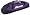 Purple/Black