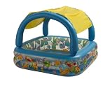 Intex Sun Shade Pool
