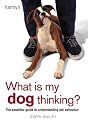 What is My Dog Thinking?