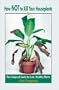 How Not to Kill Your Houseplants: The Foolproof Guide to Lush, Healthy Plants