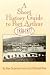 Search : A Short History Guide to Port Arthur, 1830-1877