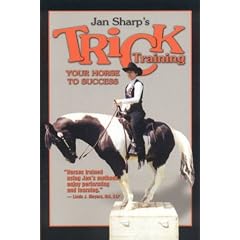 Trick Training Your Horse to Success