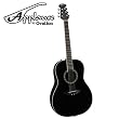 Applause by Ovation AA21-5 Acoustic Guitar