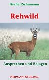 Buch