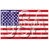Usa-Flag Adult T-Shirt