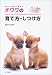 チワワの育て方・しつけ方 (愛犬と仲良く暮らす)