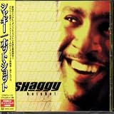 Hot Shot +1 - Shaggy