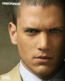 Posters: Prison Break Mini Poster - Face (20 x 16 inches)