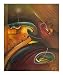 Star following Abstract Giclee Poster Print by Rigel Sauri, 16x20