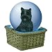 Wizard of Oz Toto in Basket Mini Waterglobe