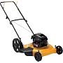 Poulan Pro PR550N22SH 22-Inch Briggs & Stratton 550 Series Gas-Powered Side Discharge/Mulch Lawn Mower with High Rear Wheels