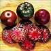 Black Krim Tomato 30 Seeds - Russian Heirloom