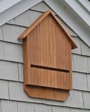 Teak Bat House 41D5gat2vwL. SL160 Teak Bat House