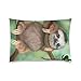 Leaveland Sloth Holding The Branches Pillow Case Square Pillow Cover 12 x 20 Inches Cushion Cover