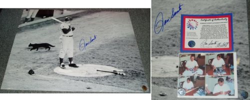Ron Santo Chicago Cubs - Black Cat at Shea Stadium - 16x20 Autographed Photograph