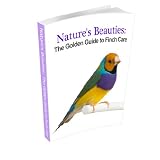 Nature's Beauties The Golden Guide To Finch Care