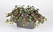 Artificial Mini Coleus in Oval Planter