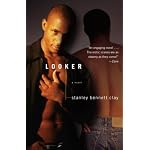 Looker: A Novel