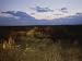 American Bison Caught in Motion on the Tallgrass Prairie Preserve Photographic Poster...