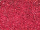 Set of 2 - Athletic Paint Scarlet Field Paint
