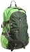 [パタゴニア] patagonia REFUGIO PACK 28L 47910  FGN (Forest Glen)