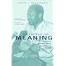 Struggle For Meaning: Reflections on Philosophy, Culture, and Democracy in Africa (Ohio RIS Africa Series)