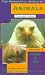 The Wonderful World Of Animals From Around The World - Voyage 2 - India And China