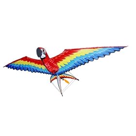 X-Kites RC Wildwings Macaw from Toy RC Airplanes
