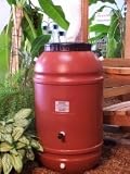 Aunt Molly's 60 Gallon Terra Cotta Rain Barrel