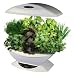 Outdoor Living : Aero Garden - Automatic Indoor Fresh Garden Growing System - White